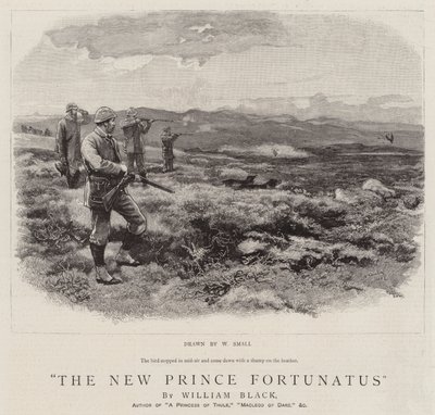 Der neue Prinz Fortunatus von William Small